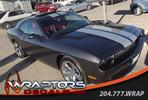 custome-Challenger-Stripe