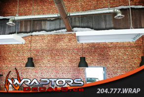 wraptors-wall-mural